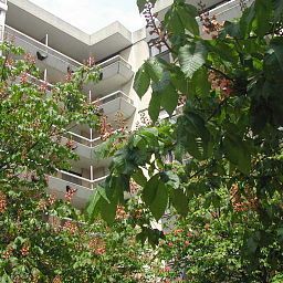 Les Palatines St.-Etienne