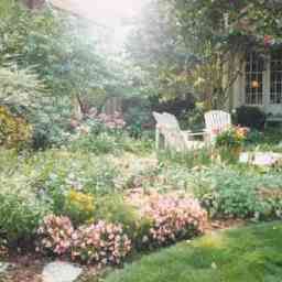 Pettigru Place