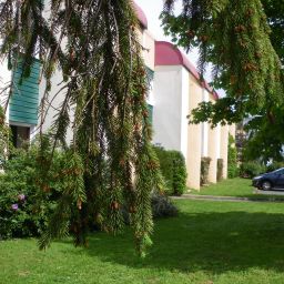 Garden Come-Inn