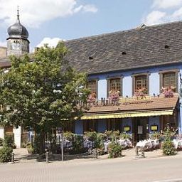Ours de Mutzig Mutzig Molsheim