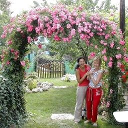 Garden Panorama Panzio