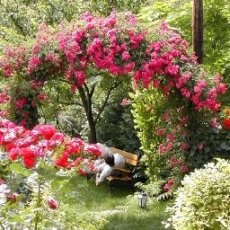 Garden Panorama Panzio