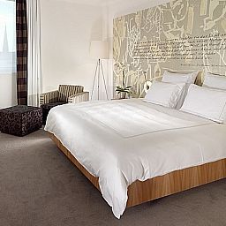 Бизнес-номер Swissotel