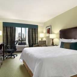 Habitación Hilton Garden Inn Atlanta Downtown