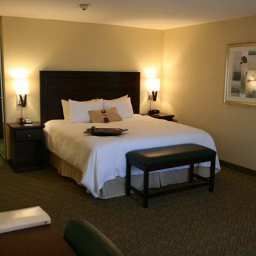 Chambre Hampton Inn - Suites Dallas-Arlington-South
