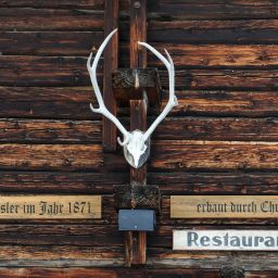 Berghaus Bort Grindelwald