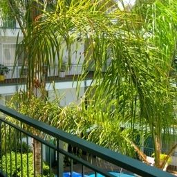 Terraza Dunes Inn Wilshire Fotos