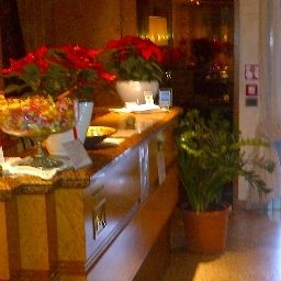 Recepcja Alfieri