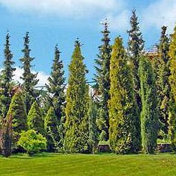 Garten Pod Kamykiem