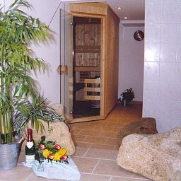 Wellnessbereich Schmidt Pension