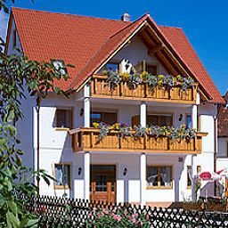Vista exterior Brauner Hirsch