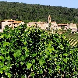 Fattoria San Donato Agriturismo San Gimignano