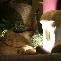 Vista all'interno Garden-Lodge Sydney