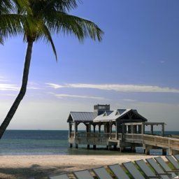  The Reach A Waldorf Astoria Resort
