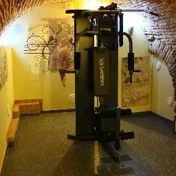 Fitness room Levoslav House