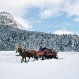  Alphotel Ettal