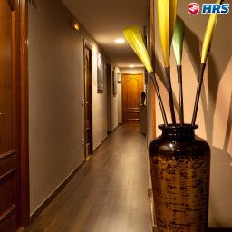 Vista all'interno Thc Bergantin