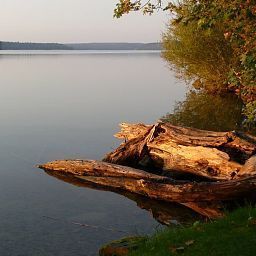 Vista esterna Hotel Poppe am Werbellinsee