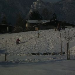 Exterior view Bauernhof Ferienwohnungen Waldschönau-Urlaub am Bauernhof Fotos