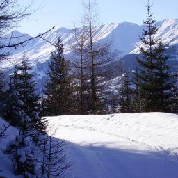  Schranz Pension
