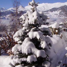 Schranz Pension