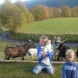  Bauernhof Familienreithof Gore