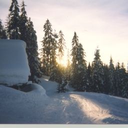  Ferien Urlaub Wandern bei ELFI in Gosau Dachstein Pension Fotos