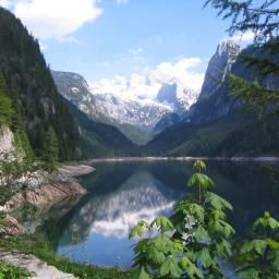  Ferien Urlaub Wandern bei ELFI in Gosau Dachstein Pension Fotos