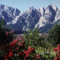  Ferien Urlaub Wandern bei ELFI in Gosau Dachstein Pension Fotos