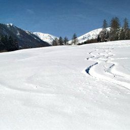 Bauernhof Hoarachhof Mutters 