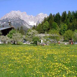  Bauernhof Blattlbauer Fotos