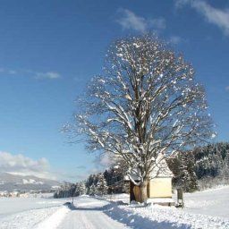  Gfrererstadl Gasthof