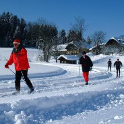  Landgasthof Fischerwirt