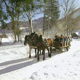  Landgasthof Fischerwirt