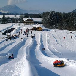  Landgasthof Fischerwirt