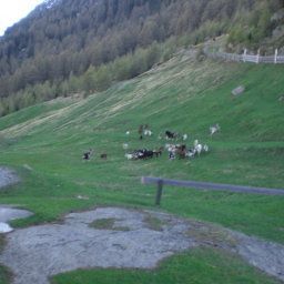  Garni Jaqueline Pension