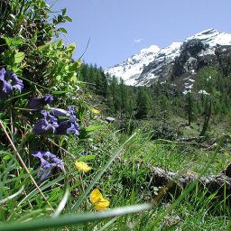  BERGLAND Biobauernhof - Hotel garni