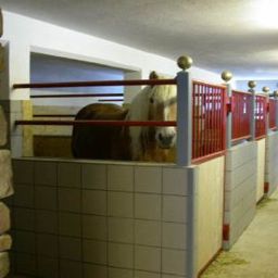  BERGLAND Biobauernhof - Hotel garni