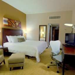 Room Hilton Garden Inn Riyadh Olaya