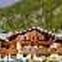Bouton d'Or Cogne 