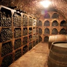  Bauernhof Winzerhof Stauffer Fotos