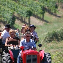  Bauernhof Winzerhof Stauffer Fotos