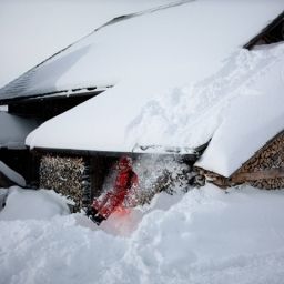  Bauernhof Fenzhof Fotos