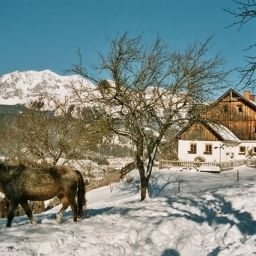  Bauernhof Fenzhof Fotos