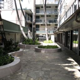 Kuhio Banyan Club Honolulu