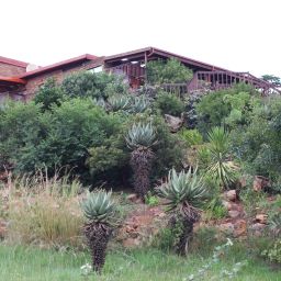 Garden Acra Retreat Mountain View Lodg