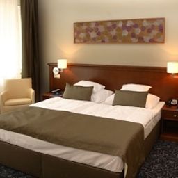 Room Saliris Resort Hotel