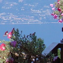 View Belvedere