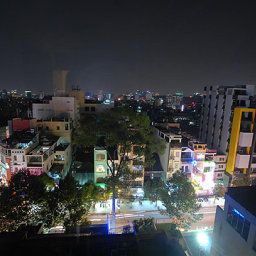 Sen Viet Ho Chi Minh City