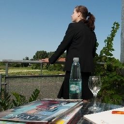 Ausblick Albertinum